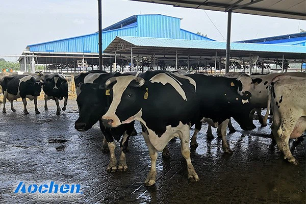 AOCHEN Rubber mat - Rubber mat - Niu Ma rubber mat - Rubber manufacturer - rubber exporter 6 AOCHEN Rubber mat - Rubber mat - Niu Ma rubber mat - Rubber manufacturer - rubber exporter 6