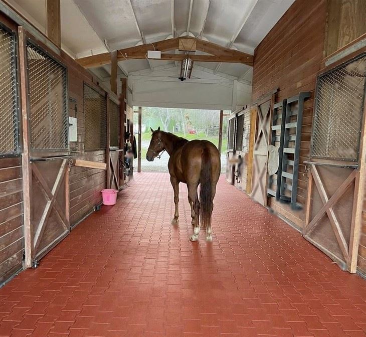 Interlocking Dog Bone Rubber Pavers For Horse Walkways