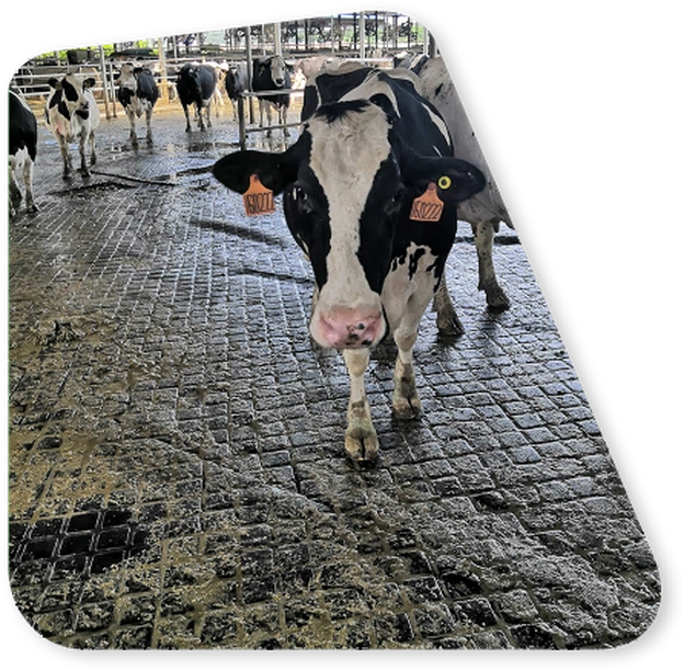 IMG202007131419181 IMG202007131419181