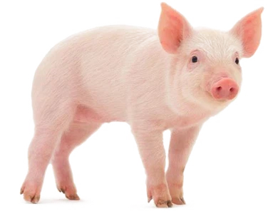 d4p2xQW53j d4p2xQW53j