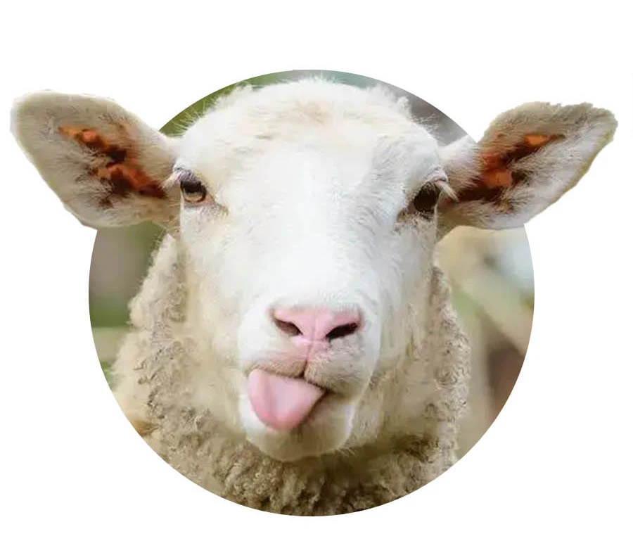 rubber mat 37 rubber mat 37