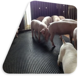 rubber mat 1 rubber mat 1