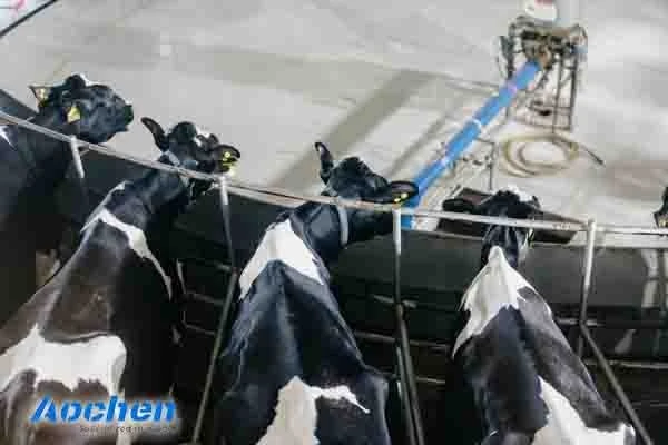 cow rubber mat (1)