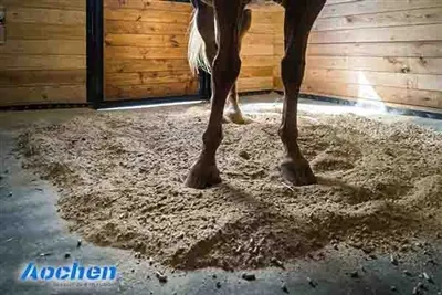 Easy Cleaning Horse Rubber Mats: A Cleaner Stable Starts From The Floor