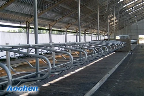 Is Your Dairy Barn Helping Cows Reach Their Full Potential?