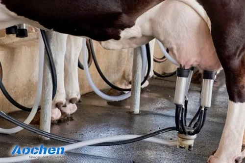 Reduce Animal Stress · Improve Farm Efficiency · Provide Durable Flooring