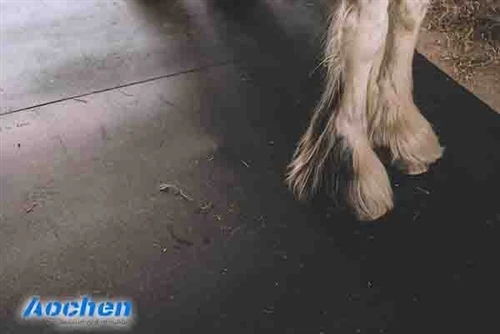 Are Rubber Mats Good For Horses?