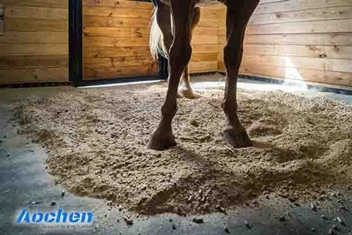 Where Can Horse Rubber Mats Be Used?