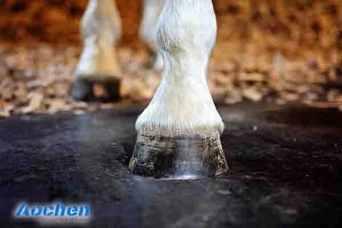 What Thickness Should You Choose For Horse Rubber Mats?