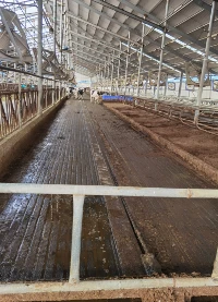 AOCHEN Livestock Rubber Mats AOCHEN Livestock Rubber Mats