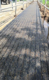 AOCHEN Livestock Rubber Mats AOCHEN Livestock Rubber Mats