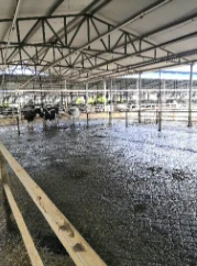 AOCHEN Livestock Rubber Mats AOCHEN Livestock Rubber Mats