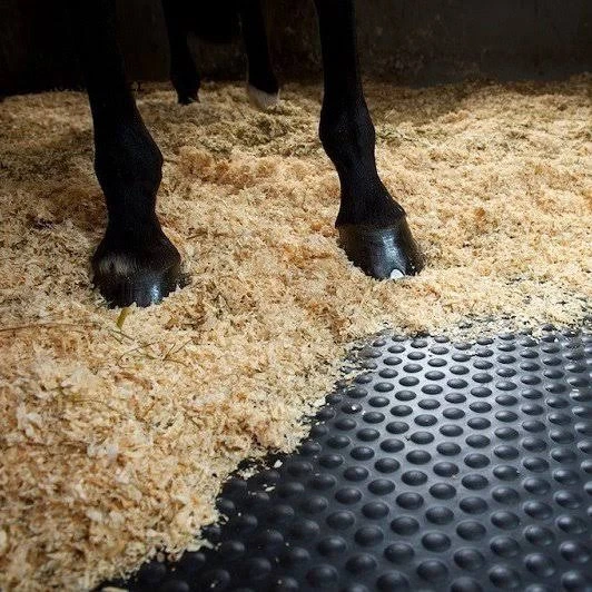 horse rubber mat
