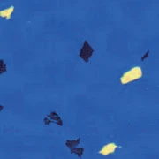 40873d2f-b7bf-41b5-bc9f-0412638561e2 40873d2f-b7bf-41b5-bc9f-0412638561e2